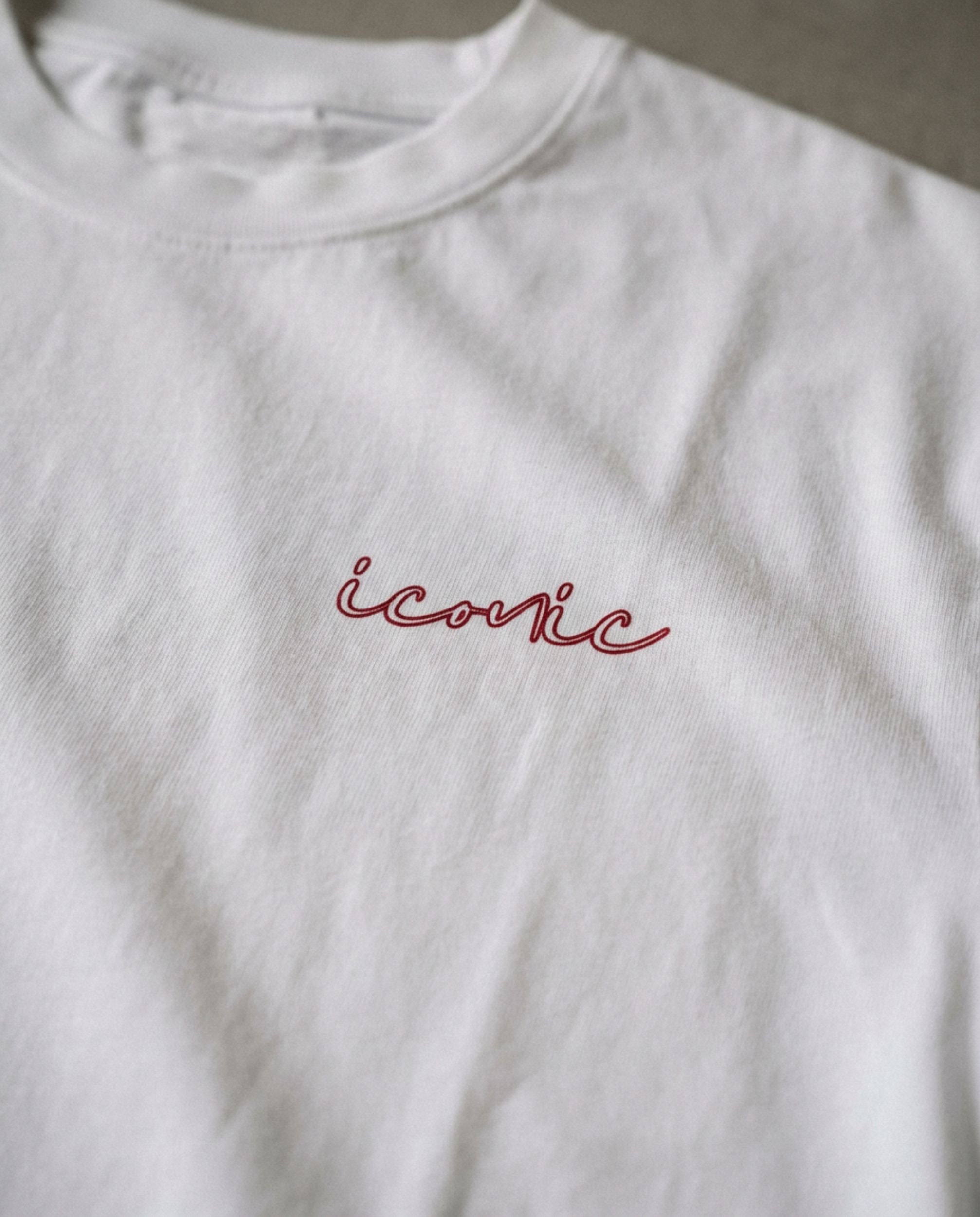 Iconic Heavyweight Cotton Loose Fit T-Shirt